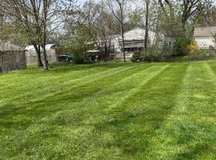 Tramaine W.'s Lawn Mowing Service service result