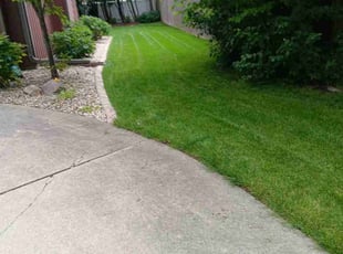 Deb K.'s Grass Cutting service result