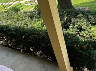 Bush Trimming by MJose Rolando Villeda for Lisa B. in Frederick, MD