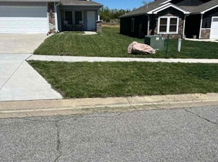 Michael H.'s Grass Cutting service result