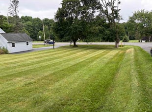 Bush Trimming by Josh Brockett for Nicholas J. in Baldwinsville, NY