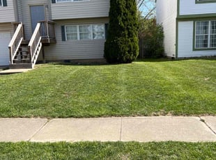 Doris V.'s Grass Cutting service result