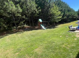 Dawn E.'s Grass Cutting service result