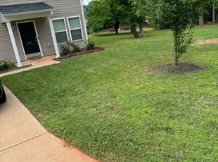 Sarah M.'s Lawn Maintenance service result