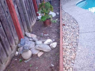 Weeding by Wilfredo Nunez for Marg P. in Sacramento, CA