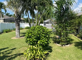 Peter B.'s Lawn Service service result