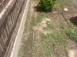 Weeding by Humberto Bernal for Flo O. in Manor, TX