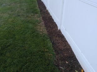 Landscaping by Moises Vasquez for Jacob F. in Spring Valley, CA