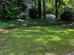 Jacquie C.'s Lawn Service service result