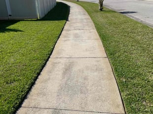 Birgetta H.'s Lawn Care service result