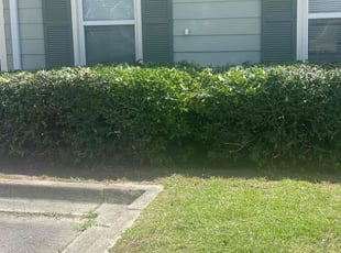 Bush Trimming by Akeem Lawrence for Allen B. in Columbia, SC