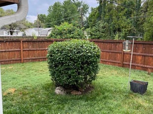 Bush Trimming by Dustin Soyez for Garrett M. in Wichita, KS