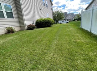 Jun W.'s Lawn Service service result