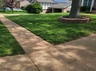 Suzanne A.'s Grass Cutting service result