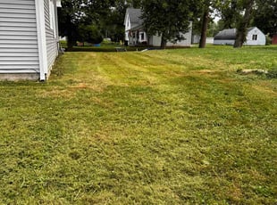 Andre M.'s Lawn Service service result