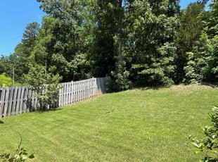 Ileana V.'s Lawn Service service result