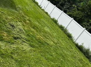 Cleanups by Tony lee for Jiahao L. in Eden Prairie, MN