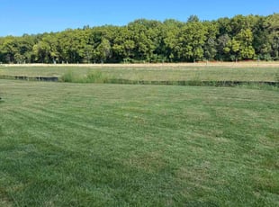 Chris A.'s Lawn Service service result