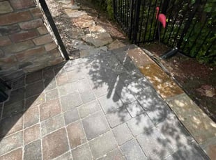 Cleanups by Tony Roma for Ronna P. in Castle Rock, CO