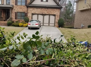 Cleanups by Christina Thomas for GWANG N. in Suwanee, GA