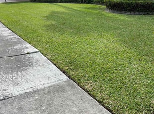 Ricardo G.'s Lawn Service service result