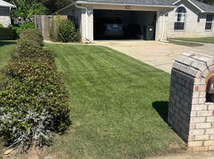 Jennifer H.'s Yard Cutting service result