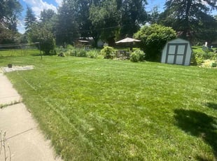 Christi W.'s Lawn Mowing service result