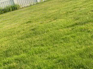 Cleanups by Lamar Ratney for Kristen K. in Valparaiso, IN
