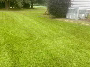 TJ S.'s Lawn Service service result