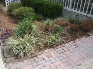 Weeding by Tyrone Cleveland for Tesse S. in Tallahassee, FL