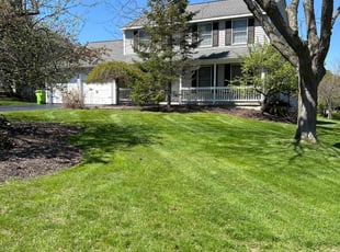 Frank M.'s Yard Cutting service result