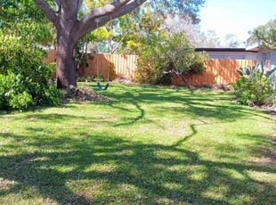 Gabrielle N.'s Lawn Service service result