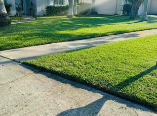 Jeffery E.'s Lawn Mowing Service service result