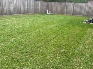 Bader A.'s Lawn Care service result