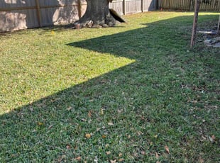 Tim A.'s Lawn Mowing service result