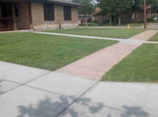 Jamie N.'s Lawn Care service result
