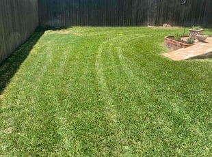 Anthony G.'s Lawn Mowing Service service result