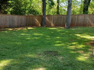 Mark M.'s Lawn Service service result