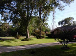James Z.'s Lawn Maintenance service result