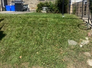 Janella R.'s Lawn Maintenance service result