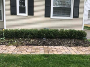 Bush Trimming by Japheus Sanders for Nolan W. in Royal Oak, MI