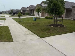 Elliot M.'s Yard Cutting service result