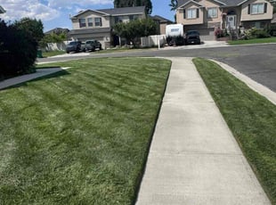 Nelia M.'s Lawn Mowing service result