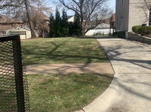Cleanups by Genee Buckner for Phelan G. in Brentwood, MO