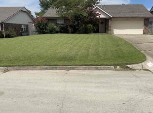 Nadege L.'s Lawn Mowing service result