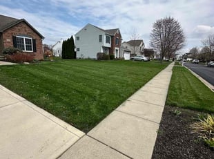 Joshua T.'s Lawn Service service result