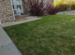 Weeding by Johnny Hines for Mike H. in Aurora, CO