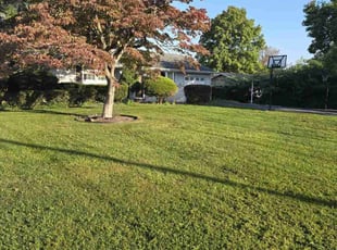 Betty C.'s Lawn Service service result