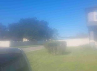 Bush Trimming by Sean Beck for Rashad G. in Orange Park, FL