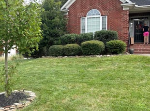 Bush Trimming by Marieo Pressley for June K. in Huntersville, NC